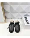 Мюли Loewe