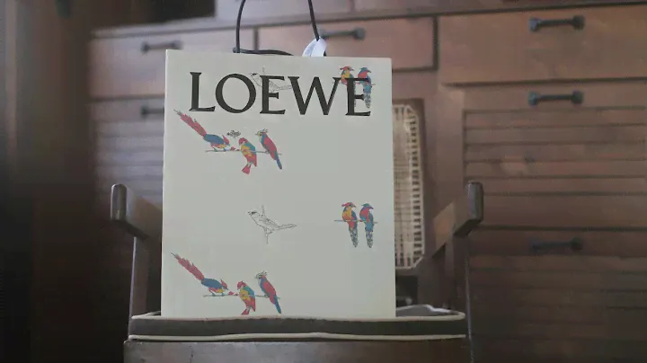 Loewe Paula's Ibiza Spring 2021 NEW Unboxed