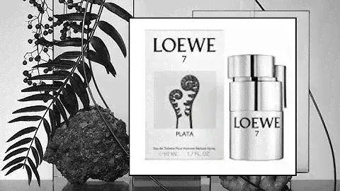 LOEWE 7 PLATA reseña de perfume para hombre ¿comprar o no comprar?