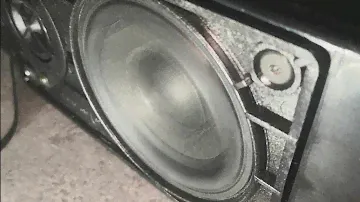 Loewe / HAES TV speakers crazy excursion!